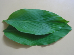 Turmeric Leaf Benefits